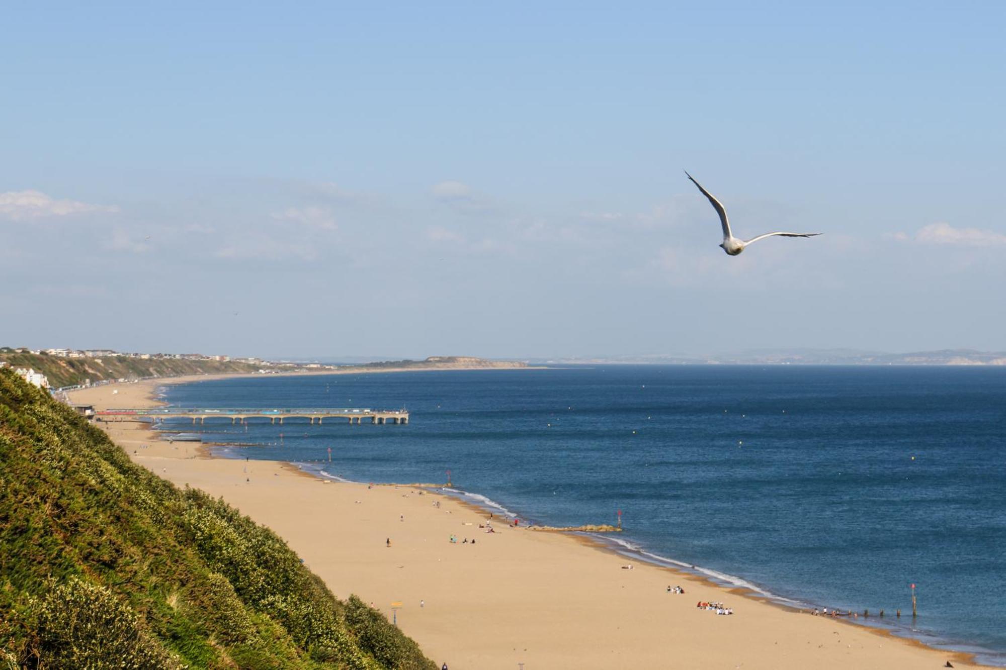 Modern Town Centre Flat - Free Shared Parking, King Size Bed, 5 Minutes Walk To * Bornemouth